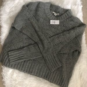 NWT! ⚡️AE Sweater